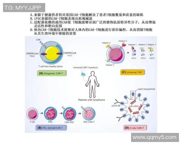 熊猫体育训练优化方案探讨提升运动表现与健康水平的综合策略